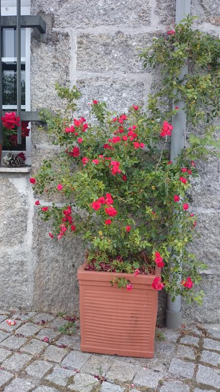 Casa O Torgal Villa Parada de Sil Eksteriør billede